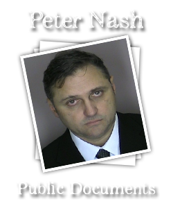 Peter J Nash